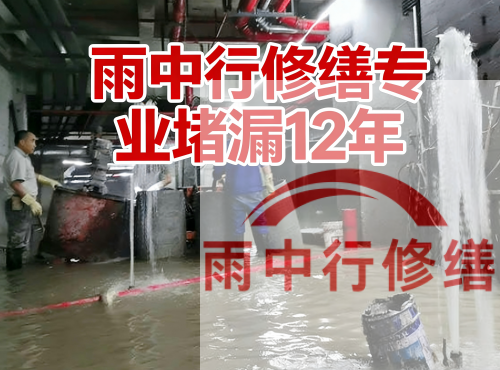 济宁中国五矿某大型污水处理厂堵漏案例